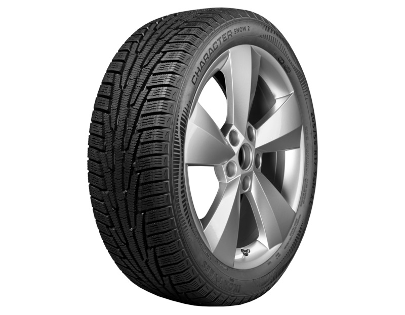 Ikon Character Snow 2 195/55R16 91R T742974 XL